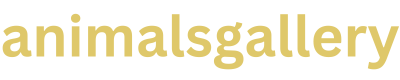 animalsgallery.com