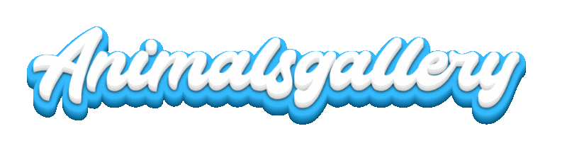 Animalsgallery.com